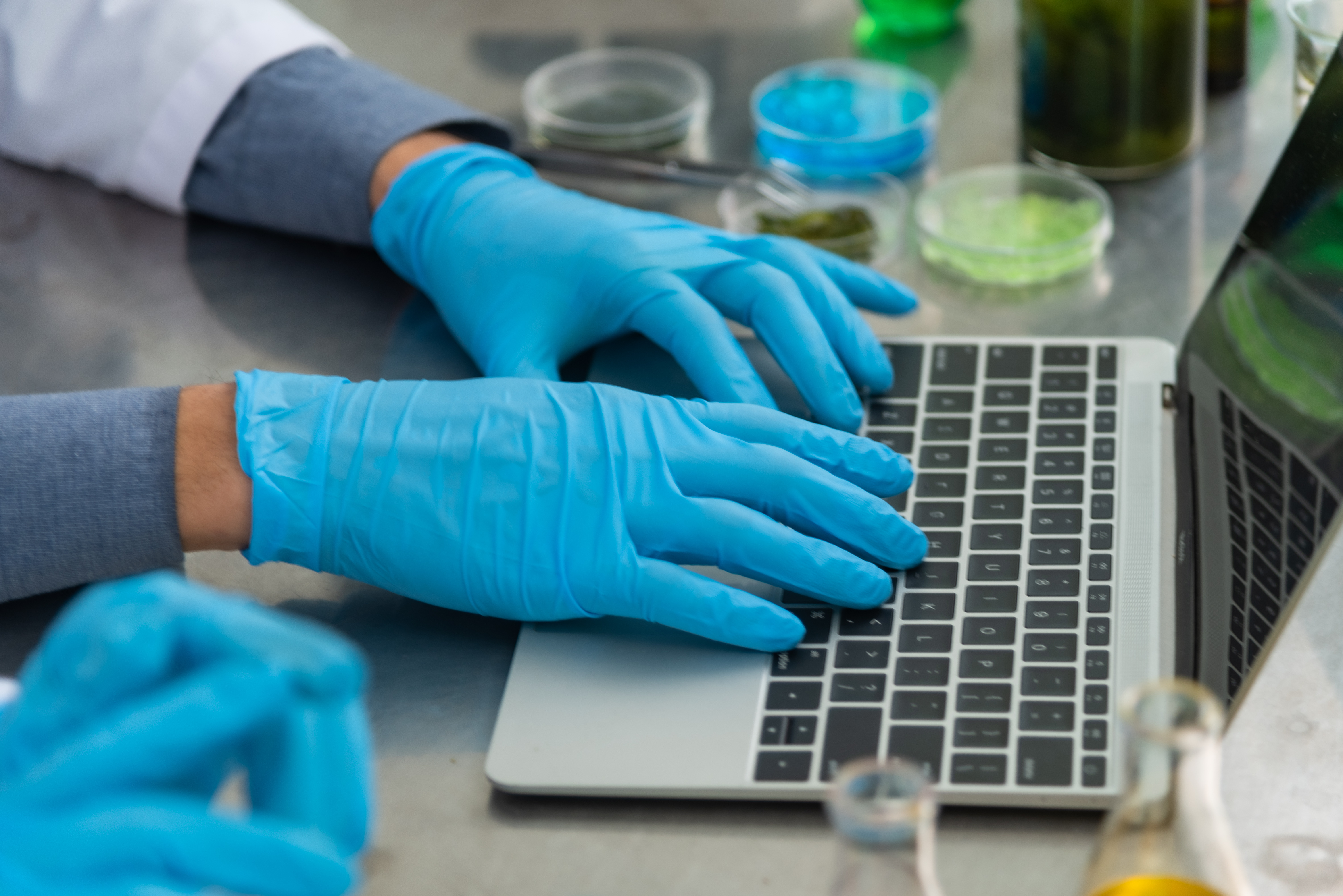 Study Finds 4 Distinct Aroma Profiles Associated With Cannabis