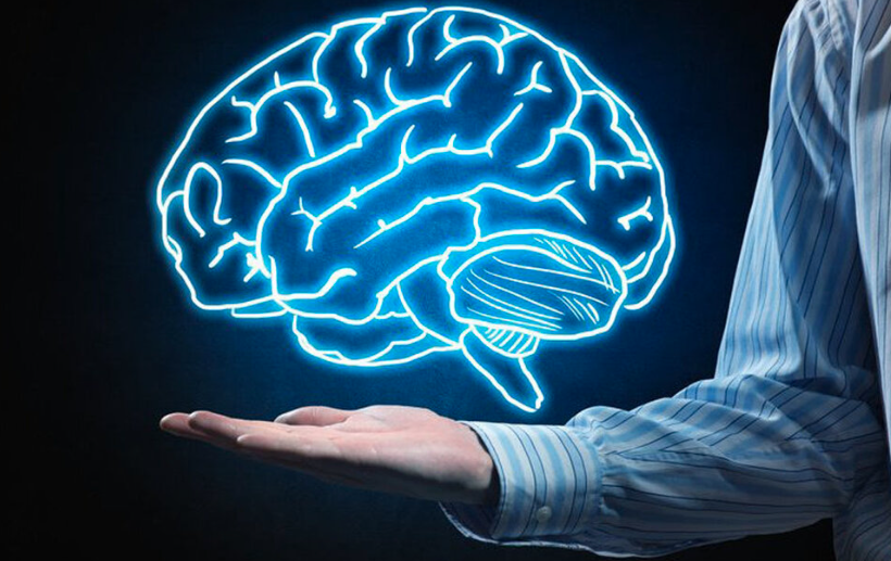 Study Reveals Lifelong Cannabis Use Tied to Brain Volume and Cognitive Function